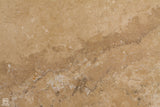 Walnut Travertine