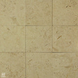 Jerusalem Stone Bone Shell