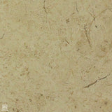 Jerusalem Stone Bone Shell