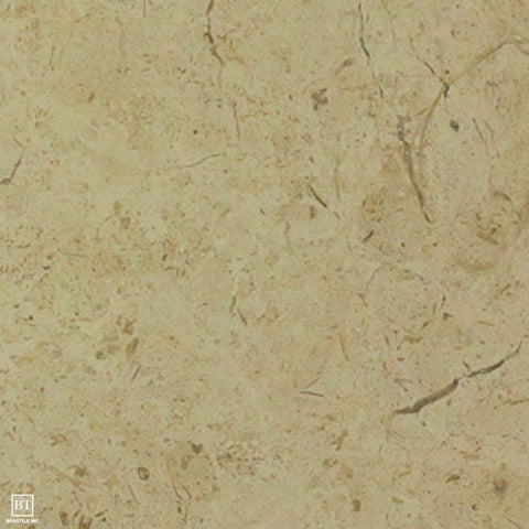 Jerusalem Stone Bone Shell