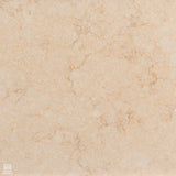 Mediterranean Desert