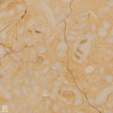 Mediterranean Desert