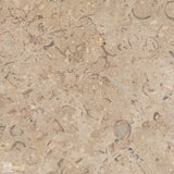 Mediterranean Bronze