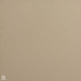 Dolomite Marble Polished Tile