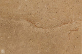 Sol Dune Tile