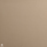 Beige Polished Porcelain Tile