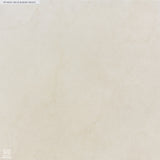 Builder White Porcelain Tile
