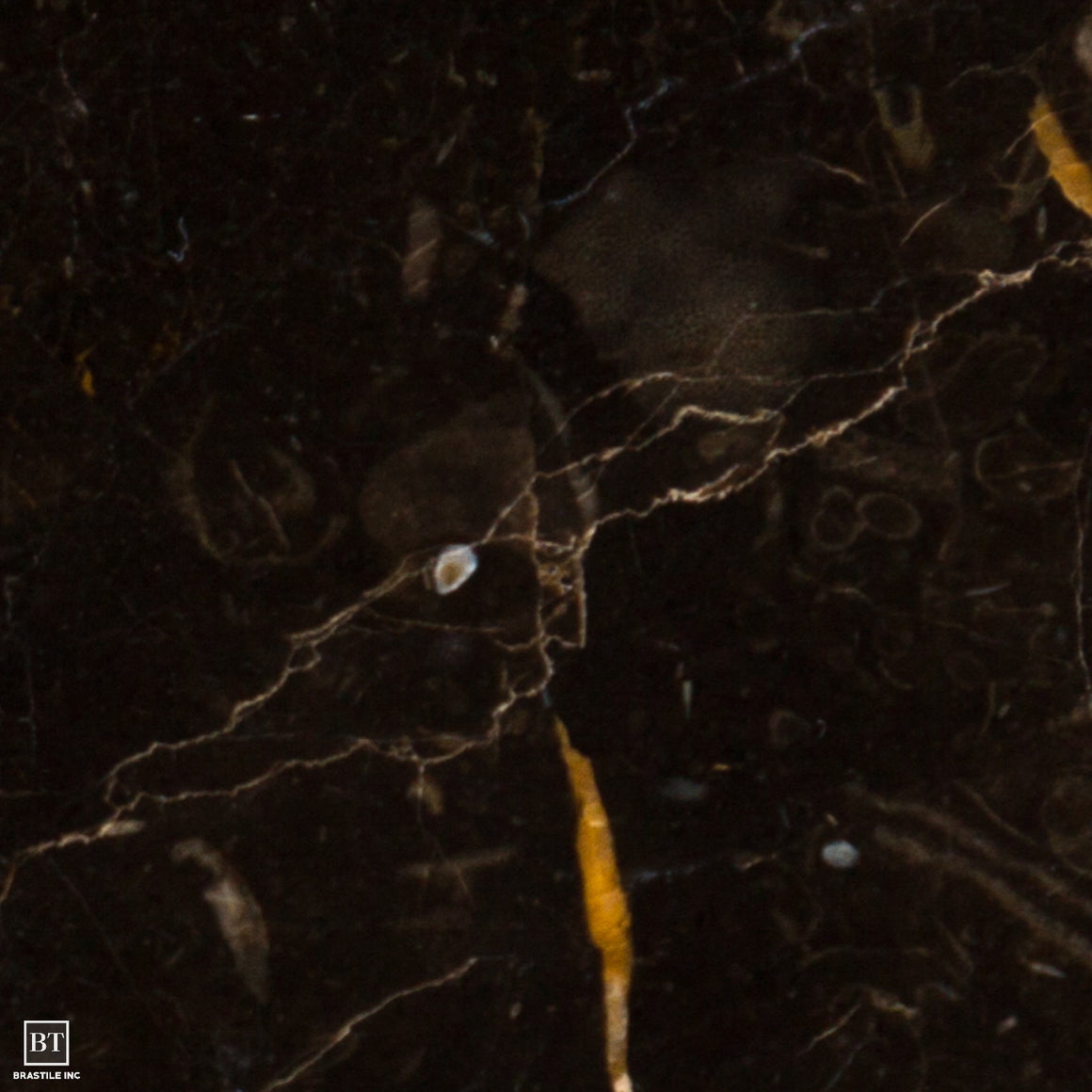 Natural Stone Tile Flooring & Slabs Tile & Marble by Brastile