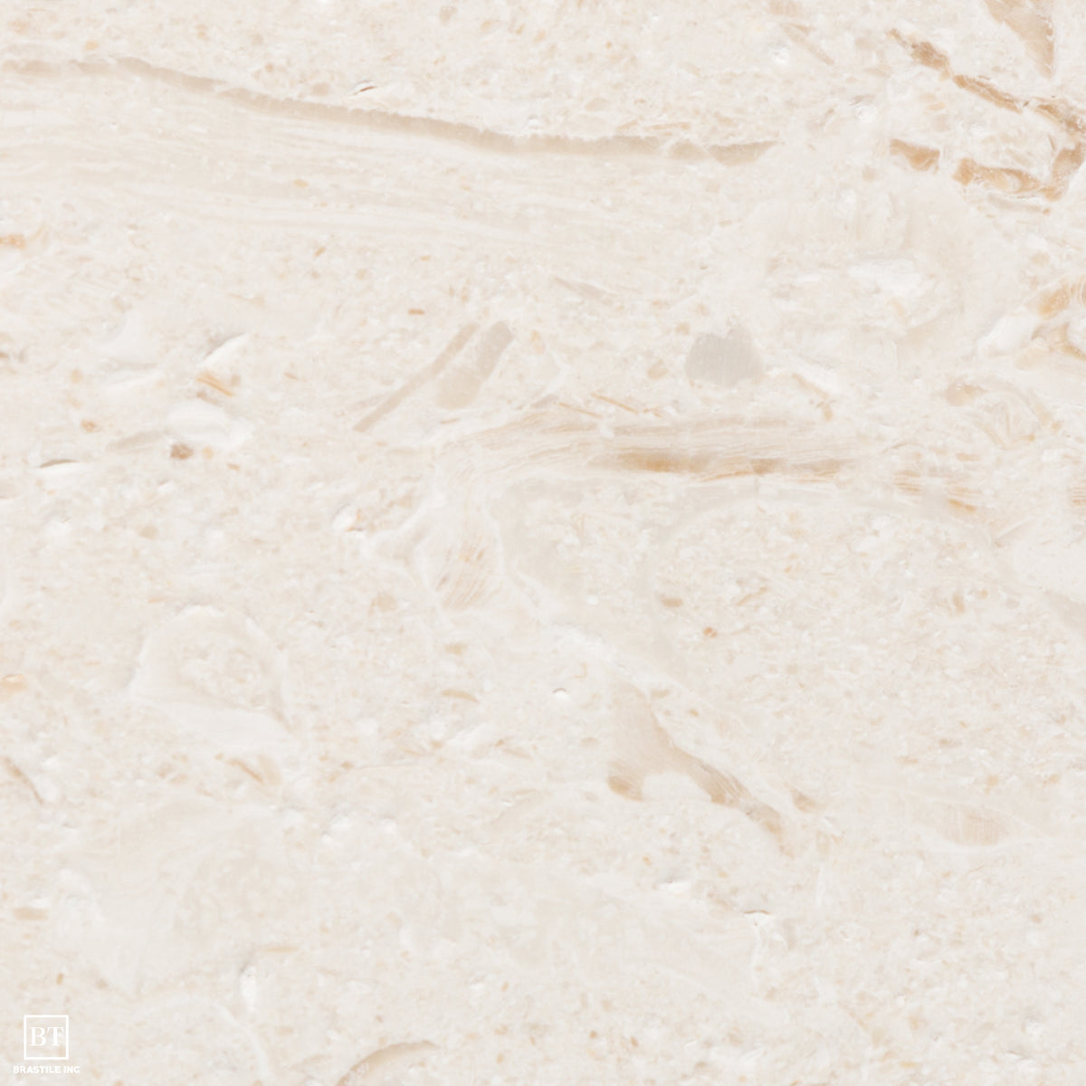 Shell Reef Cobble – Brastile inc